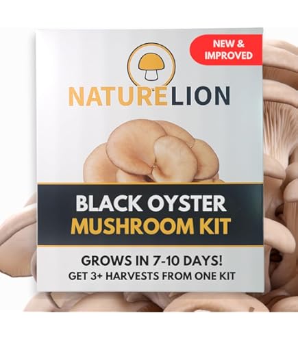 thumbnail interactive-video image 1 of Inbloom Organic Lion's Mane Mushroom Growing Kit - 4 Lb Double-Side Growth For Home Harvest 1 of 5