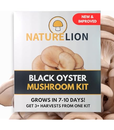Inbloom Organic Lion's Mane Mushroom Growing Kit - 4 Lb Double-Side Growth For Home Harvest