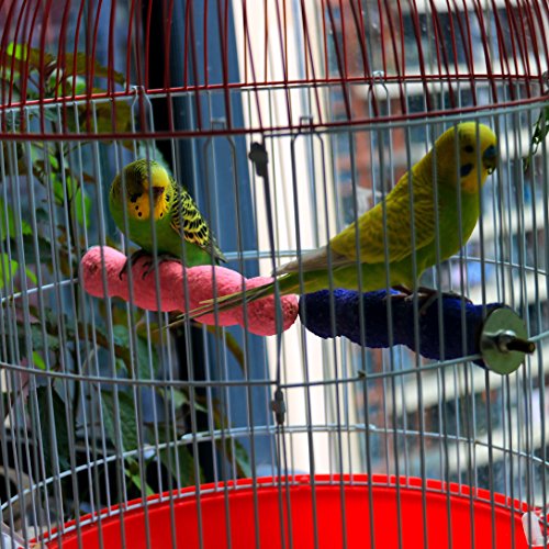 Borange Bird Perch Parrot Stand Parakeet Natural Wood Rough Sand Perches Grinding Nail for Small and Medium Cockatoo Cockatiels Conure Bugie Cage Accessories 1pc (14cm/5.5inch)