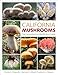 California Mushrooms: The Comprehensive Identification Guide by Dennis E. Desjardin, Michael G. Wood