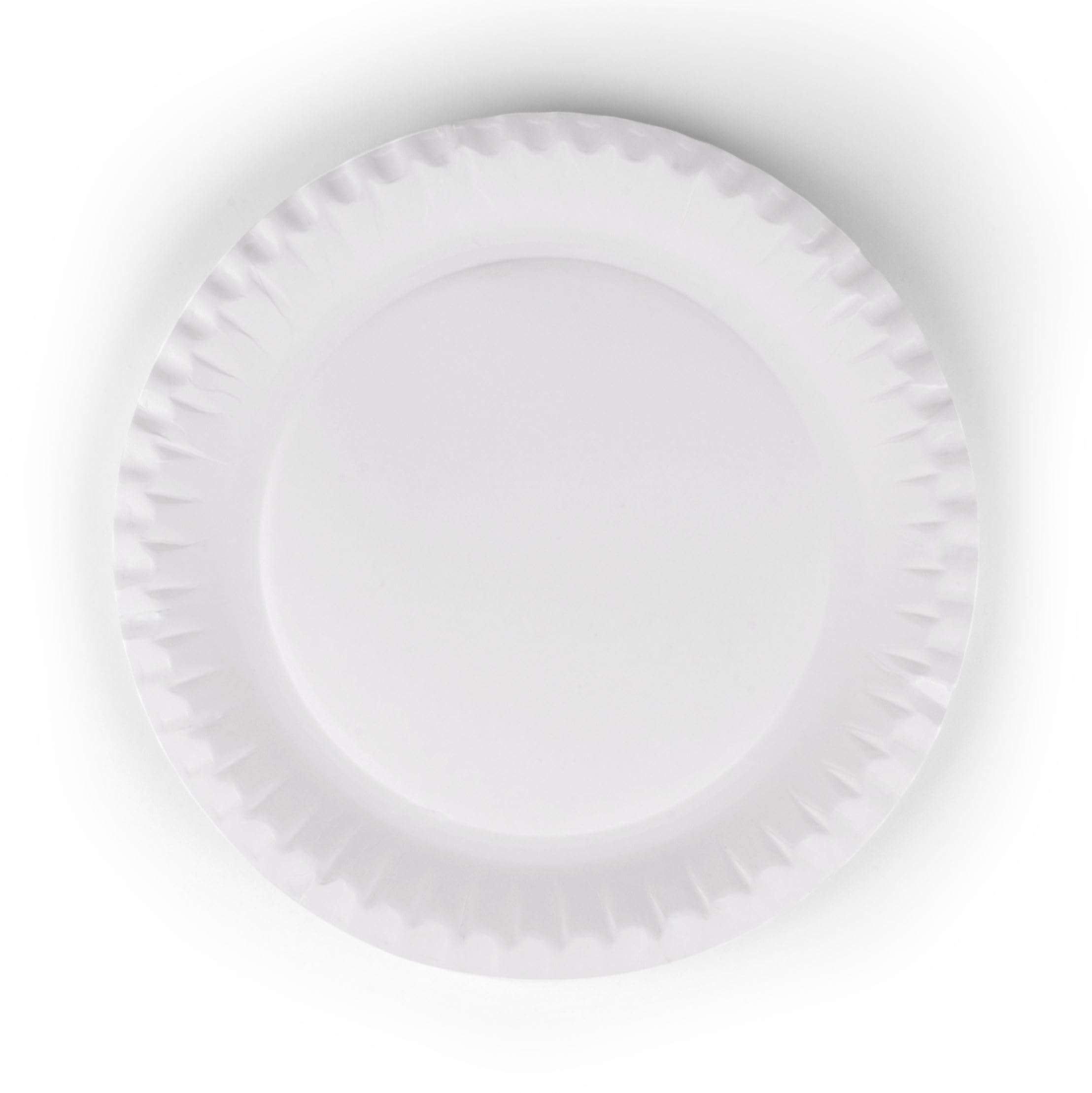 Inoverse 100 Pieces Paper Plates, White Disposable Plates, Round-18 inc, Eco-Friendly Party Tableware, Disposable Tableware, Cake Plates, Disposable Paper Plates