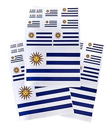 EUIOSFDC Decal in Multiple Sizes Uruguay Flag