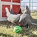 Ware Manufacturing Peck N Play Chicken Ball Toy