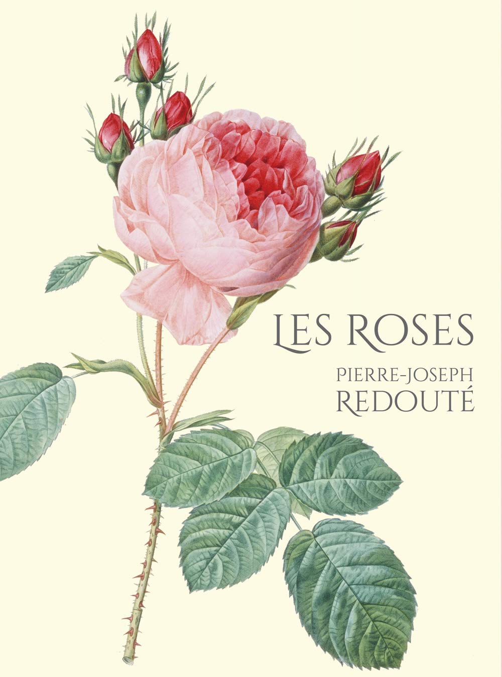 Les Roses バラ図譜 ピエール ジョセフ ルドゥーテ 本 通販 Amazon