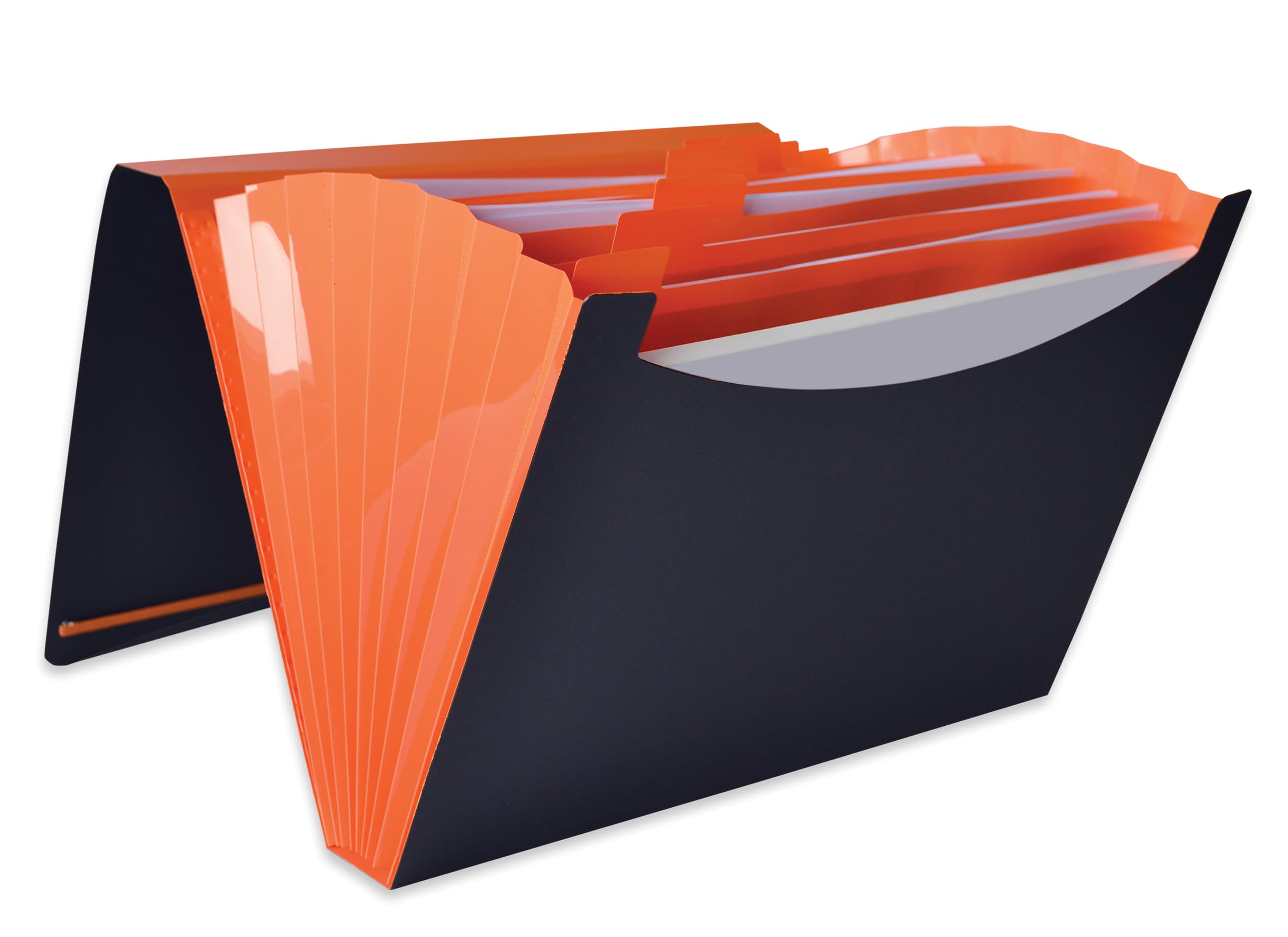 Elba for Students 400065631 Expanding File with 8 Compartments Polypropylene Opaque A4 Random Colours