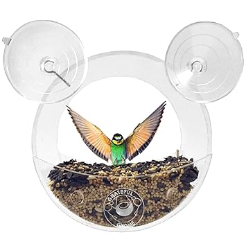 Grateful Gnome Original Circular Window Bird Feeder Clear