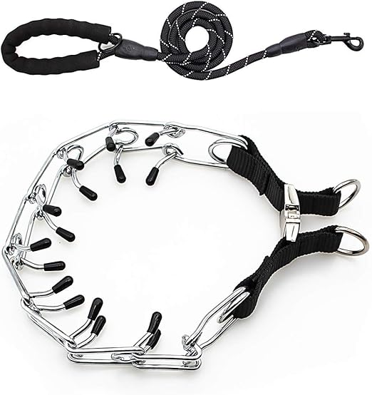 pinch collar amazon