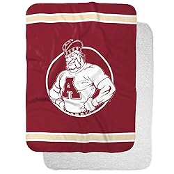 Alma College Scots Primary Logo Stripes Sherpa