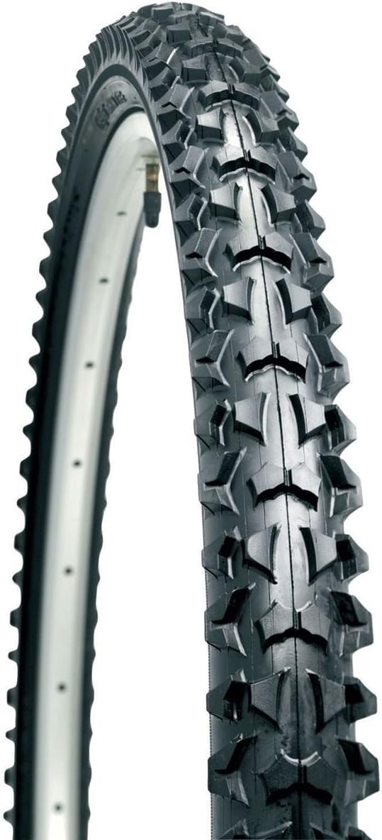 raleigh fat tyre cycle