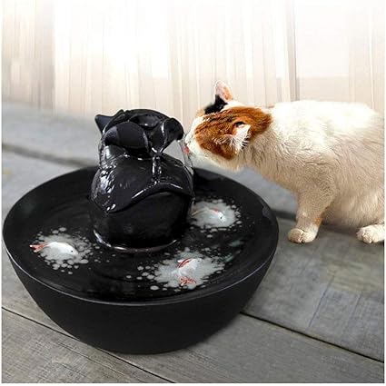 Kkkfffn Fontaine Deau Pour Animaux De Compagnie