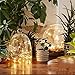 String Lights, Sanniu Battery String Lights Waterproof Design 16ft 50 LED,String Lights Battery with Remote Control 8 Modes Warm White
