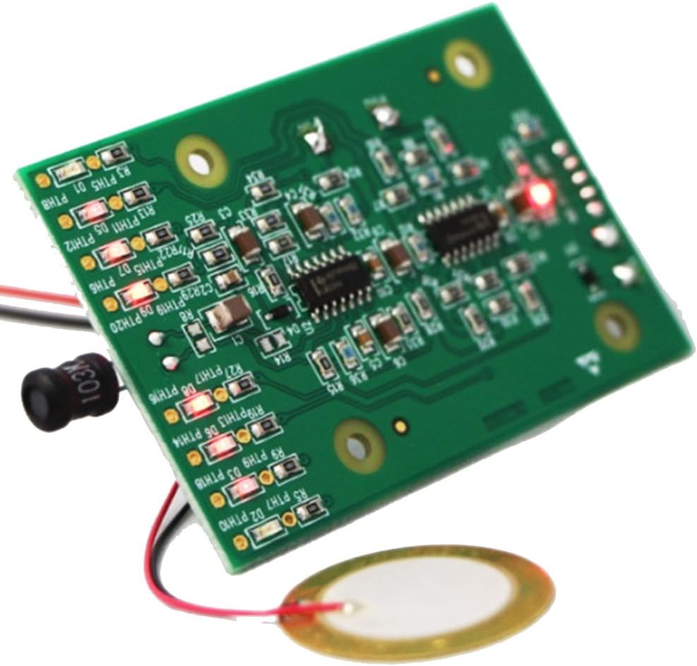 EMF Do-It-Yourself Starter Kit for Electronics Detection with Lights and Sound for Ghost Hunting or General EMF Detection
