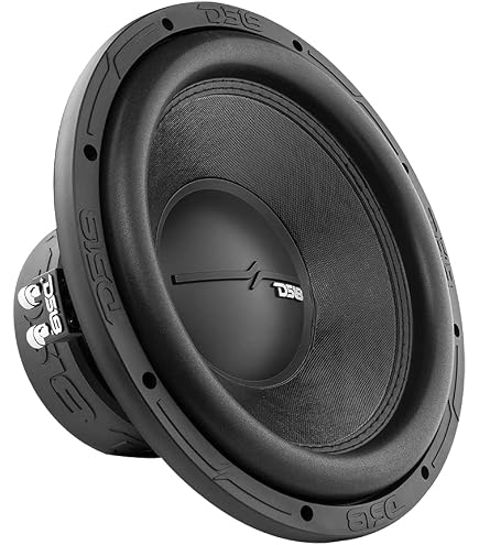 Amazon.com: DS18 Audio ZXI12.4D 12
