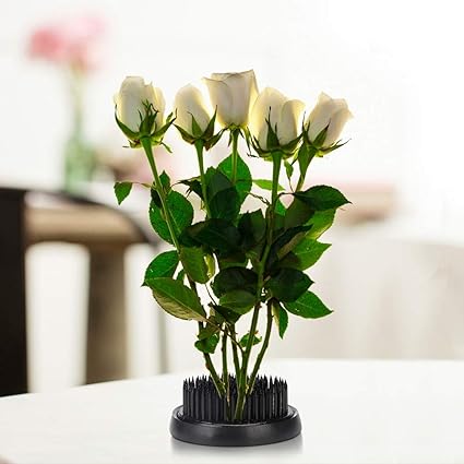 Amazon Co Jp ケンザン生け花 丈夫なケンザンフラワーフロッグ フラワーアレンジメント初心者のためのフラワーショップホーム 70mm ホーム キッチン