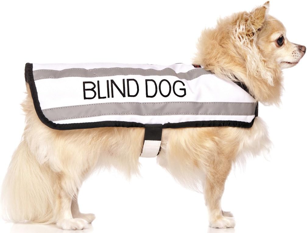 BLIND DOG (Dog Has Limited/No Sight) White Colour Coded S M L