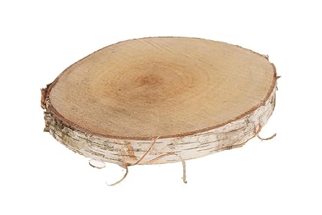 Bellaflor Birkenscheibe rund/ca. Ø 25cm - 30cm x 3,5cm / 1 Stück/Holzscheibe