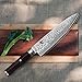 Shun Hiro SG2 8-inch Chef's Knife