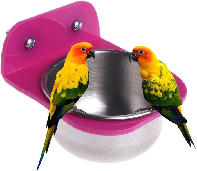 NBKing Bird Parrot Feeding Bowl for Cage Stainless Steel