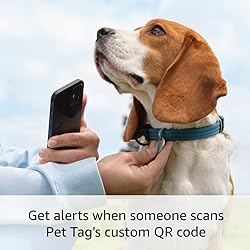 2 Ring Indoor Cam (2nd Gen), White with 2 Ring Pet