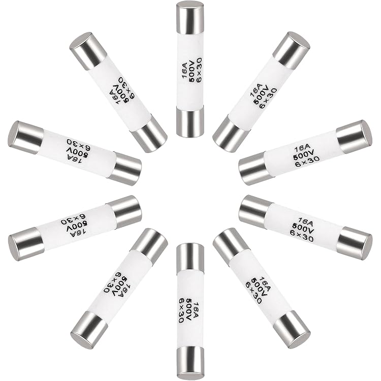 SIBA Ceramic Tube Time-Lag Cylindrical Fuse 7006565 16A T16A H500V:  Amazon.com: Tools \u0026 Home Improvement