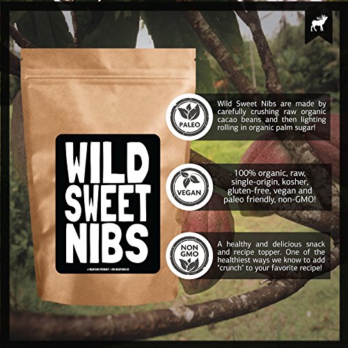 Wild Sweet Nibs, Raw Cacao Nibs Lightly Sweetened From Organically Grown Cocoa, Single-Origin, Gluten-Free, non-GMO Chocolate Superfood (16 ounce)