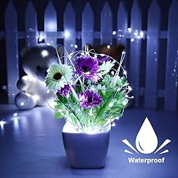 Brizled Outdoor Solar Fairy Lights 2 Pack, Total