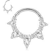 PEAKLINK 316L Surgical Steel Septum Ring Daith Earring 16G Rook Tragus Helix Conch Piercing Jewelry Cartilage Hoop Earring 8mm 10mm for Women Men