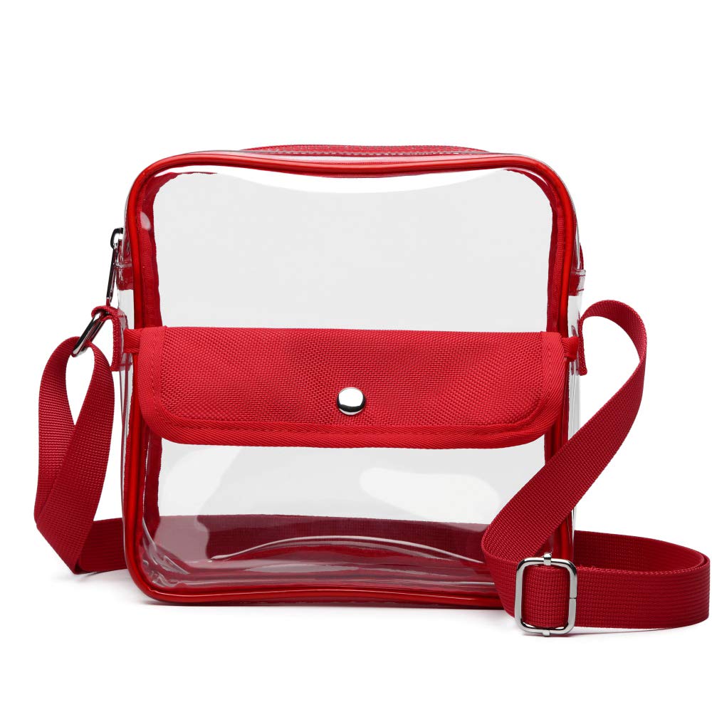 black and clear purse