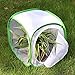 RESTCLOUD Insect and Butterfly Habitat Cage Terrarium Pop-up 12 X 12 X 12 Inches