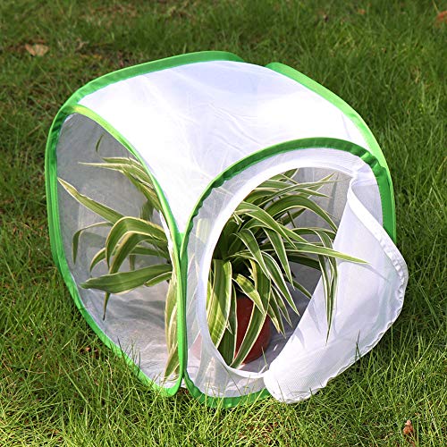 RESTCLOUD Insect and Butterfly Habitat Cage Terrarium Pop-up 12 X 12 X 12 Inches