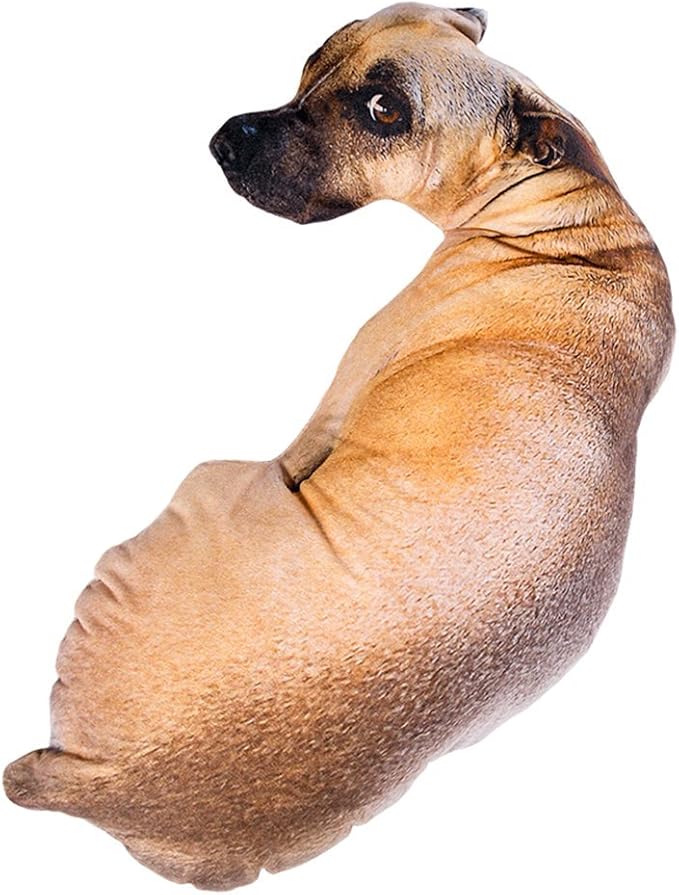 petco cat constipation