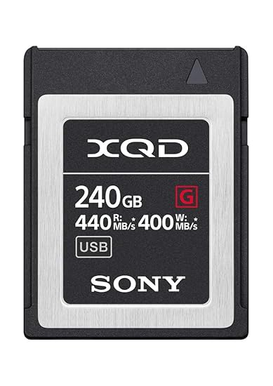 Sony QDG240F Flash-Speicherkarte (250 GB)
