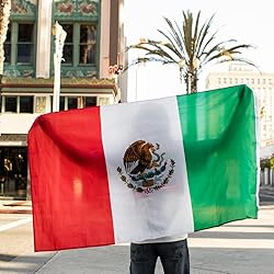GSYLPFT Mexican Flags for Outside 3x5 Mexico Flag