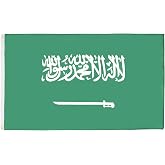 AZ FLAG Saudi Arabia Flag 2x3 ft Light Polyester 2 Grommets | Indoor use Saudi Arabian 90x60 cm decorative flag المملكة العربية السعودية double stitched seams and reinforced edges