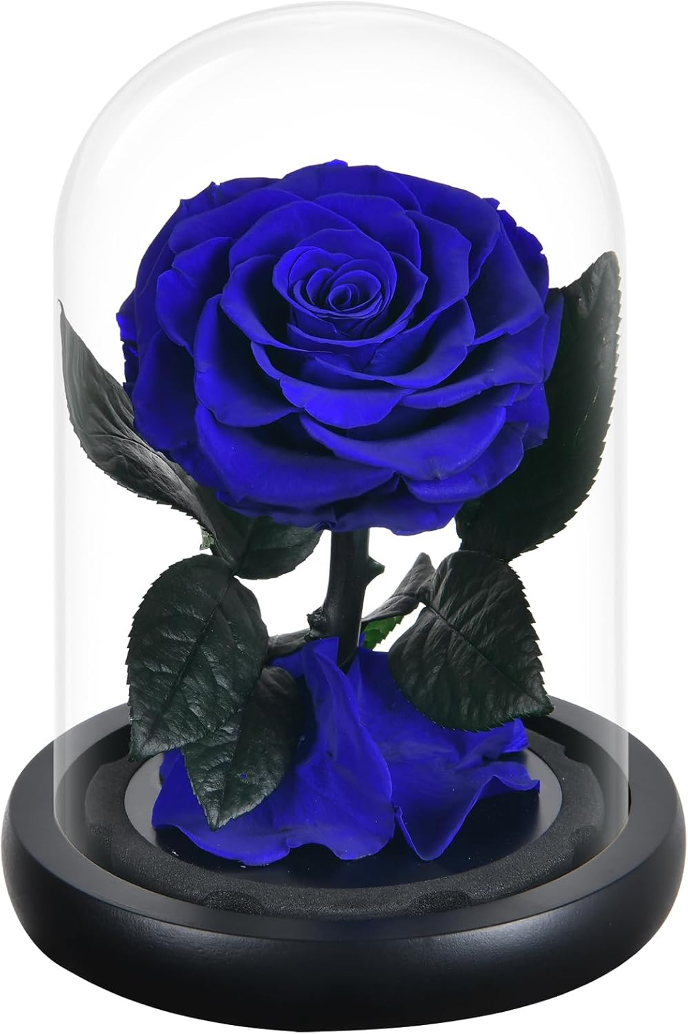 Dried & Preserved Flora - DEARCCINO Preserved Blue Rose Gifts for Women|Preserved Flowers in Glass Dome|Forever Preserved Roses Birthday Gifts for Girlfriend|Eternal Rose Gifts for Wife|Mother|Valentine's Day|Christmas