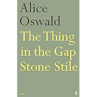 The Thing in the Gap Stone Stile