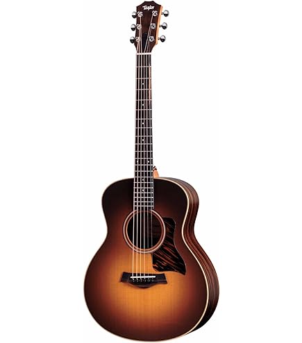 Amazon.com: Taylor GS Mini-e Special Edition Acoustic-electric