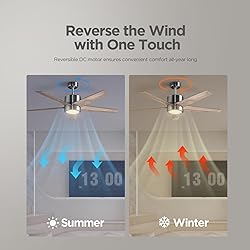 VAGIZM Ceiling Fan 52'' with Light: Modern Remote