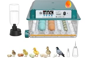 CoInceptus 16 Eggs Incubators for Hatching Eggs, Eggs Incubator with Automatic Egg Turning and Humidification, Chicken Incubator with Egg Candle for Chicken Eggs, Quail Egg,Goose, Pigeon