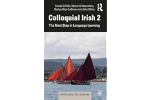 Colloquial Irish 2: The Next Step in Language Learning