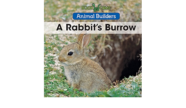 rabbit burrow supply