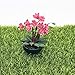 Matoen 1:12 Mini Dollhouse Miniature Green Plant Flower in Pot Fairy Garden Accessory Decoration Wall Hanging Flower Hut Scene Shooting Prop Miniature Garden (Red)