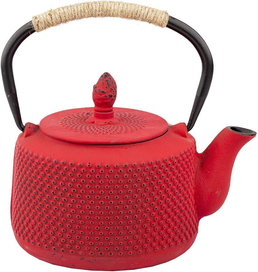 Tea Kettle, Japanese Cast Iron Teapot with Stainless Steel