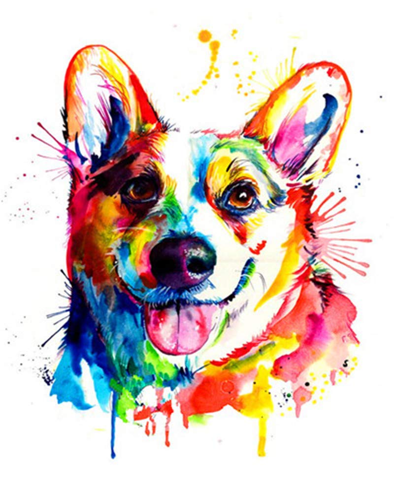 DIY Oil Painting Kit Paint by Numbers for Kids and Adults - Colorful Dog 16 x 20 Inches (Framed)