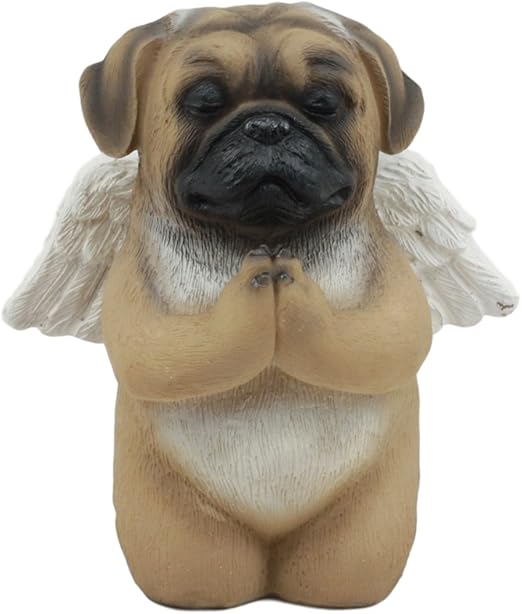 amazon pug dog
