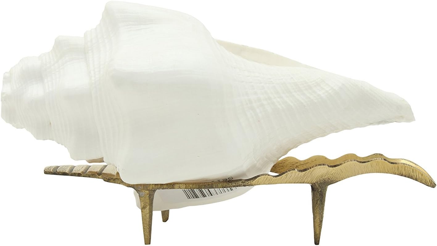 Special Sound making Shankh Shankha With Brass Stand