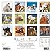 2017 What Horses Teach Us Mini Wall Calendar