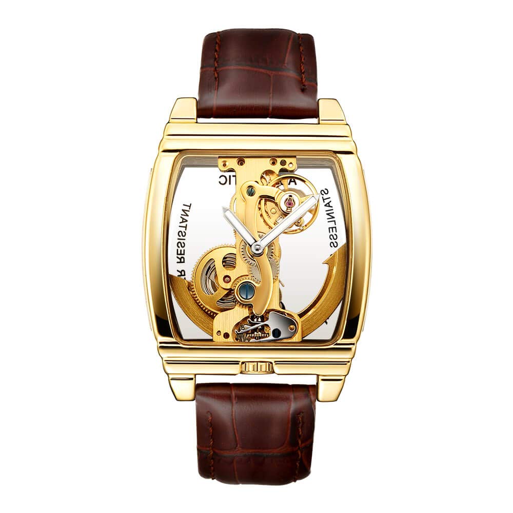 GORBEN Automatic Watch for Men with Brown Leather Strap Transparent Skeleton Self-Winding Mechanical Watch