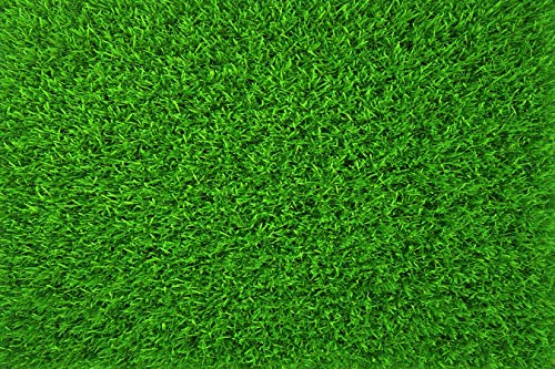 Nature Green Grass Backdrops for Photography 9x6FT Spring Realistic Grass Lawn Backgrounds for Baby Shower Birthday Party Photoshoot LUCKSTY LUZZ438