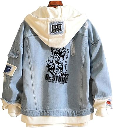 dr denim hoodie